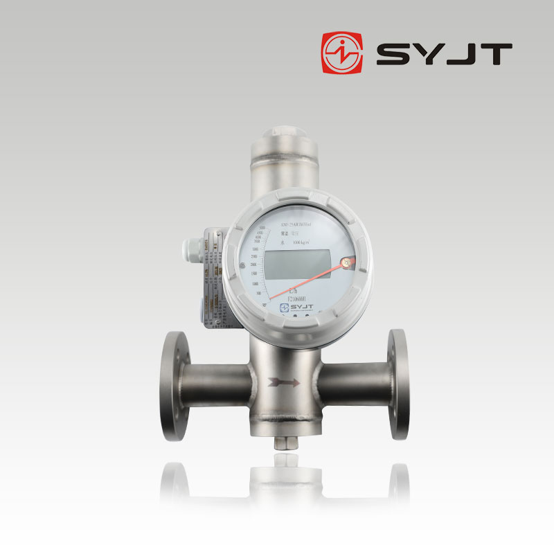 www91ncomSY-LZD浮子流量計
