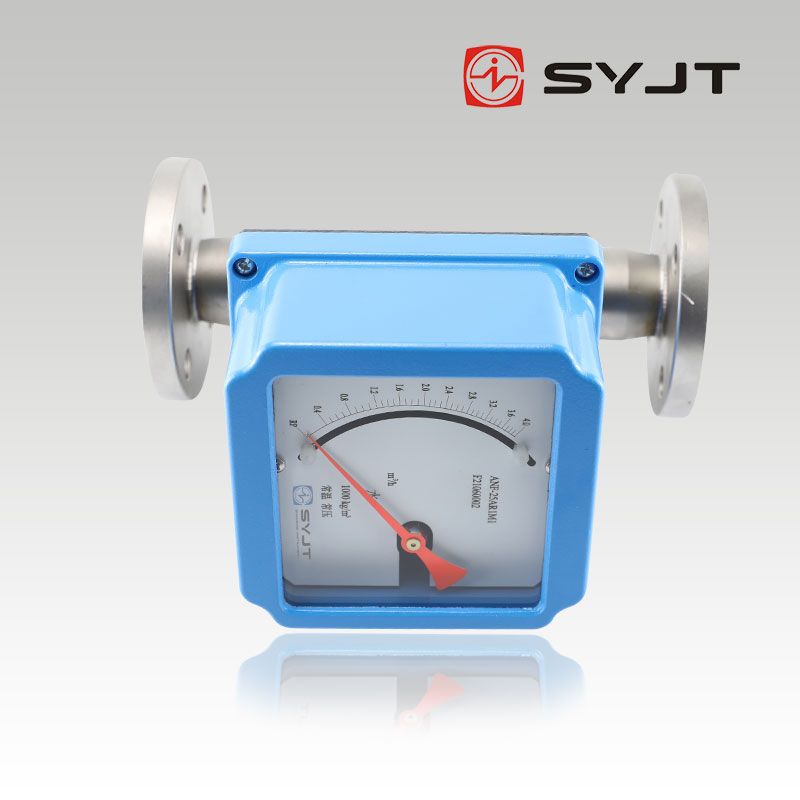 www91ncomSY-LZZ浮子流量（liàng）計