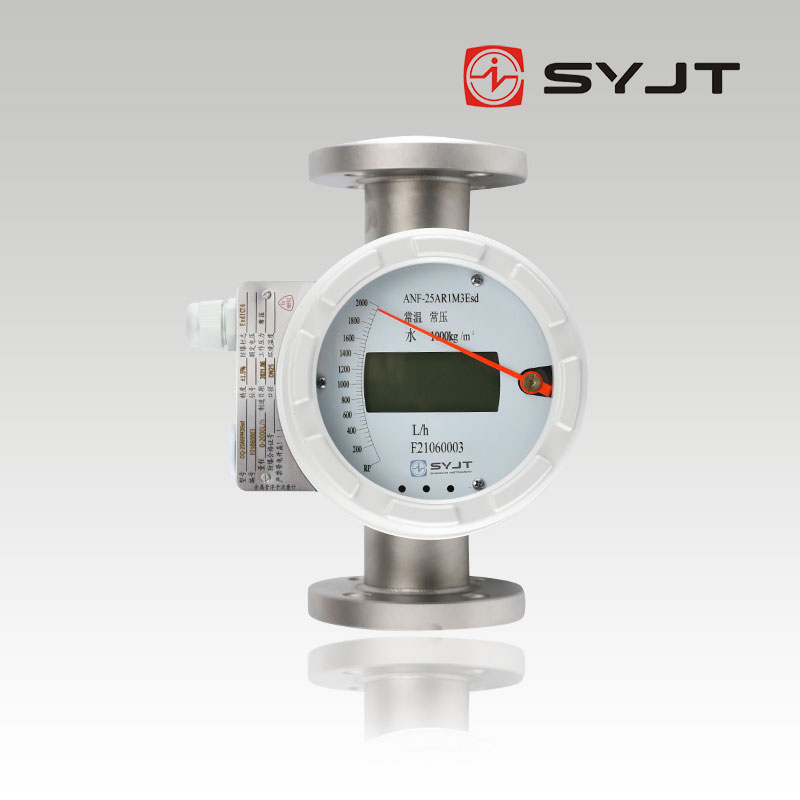 www91ncomSY-LZZ遠傳型浮（fú）子流量計
