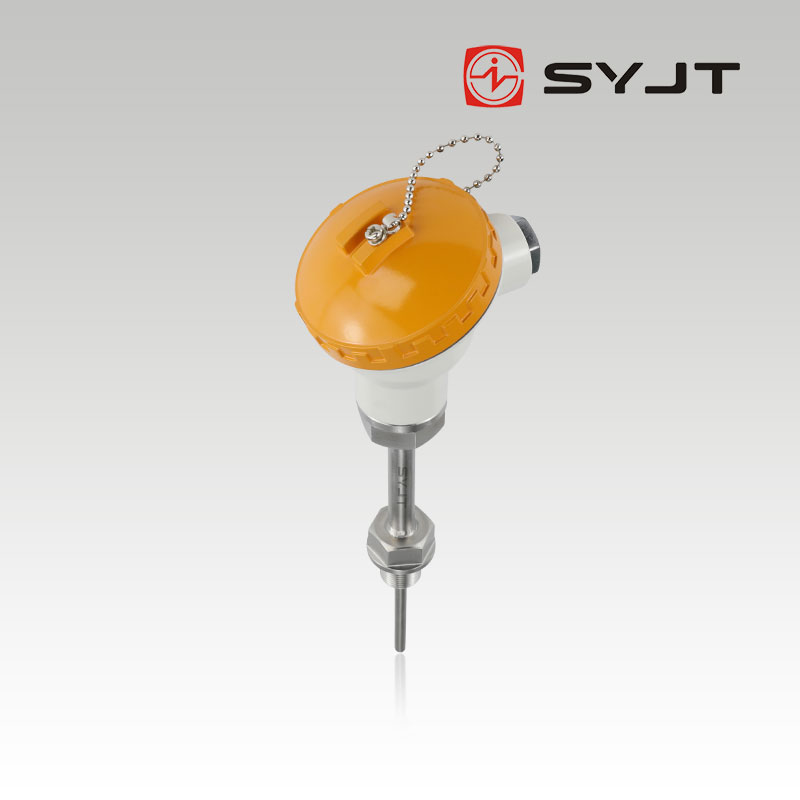 www91ncomWRNK鎧（kǎi）裝熱電偶