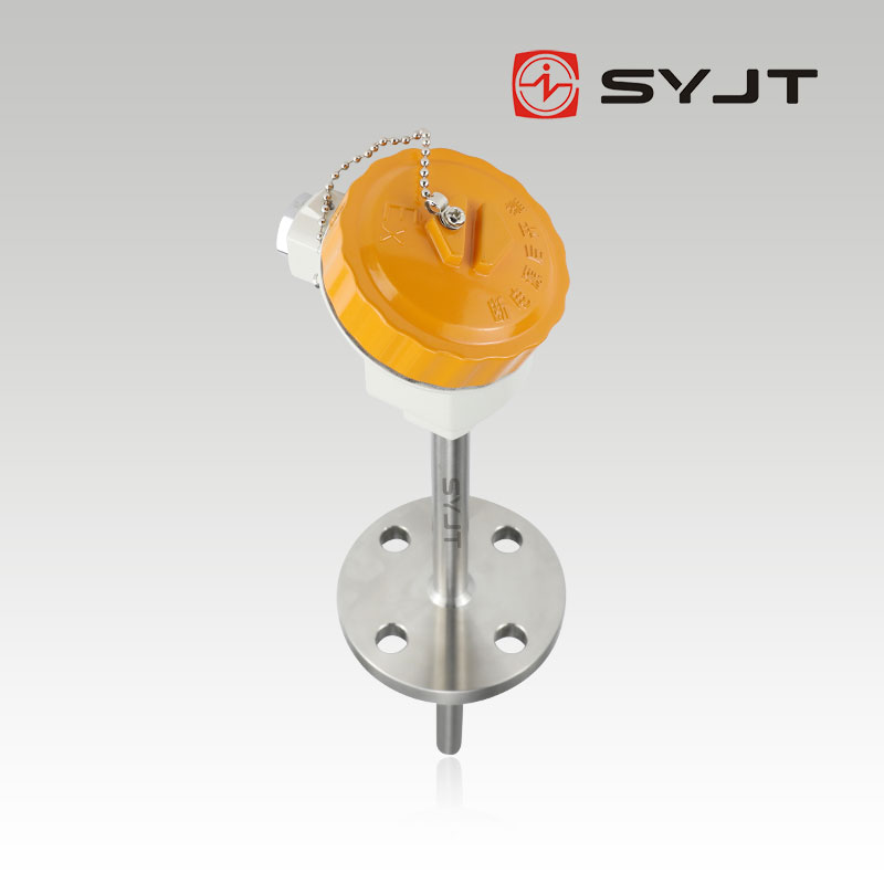 www91ncom集團（tuán）WR防爆型熱電偶（ǒu）