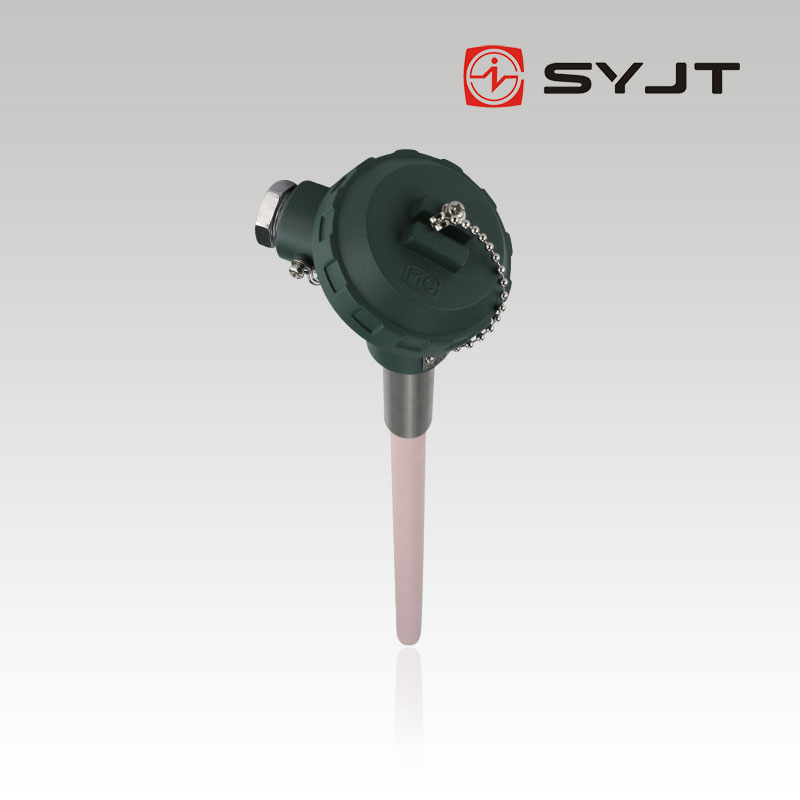 www91ncom集團WRP鉑銠（lǎo）熱電（diàn）阻