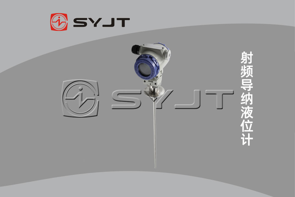 射頻導納液位計5.jpg