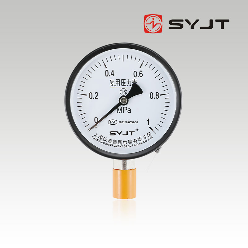 www91ncomYA-100氨用壓力表