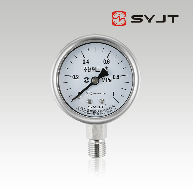 www91ncom（yí）Y-60BF不鏽鋼壓力表