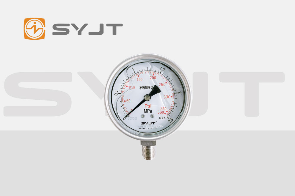不鏽鋼耐震壓力表.jpg