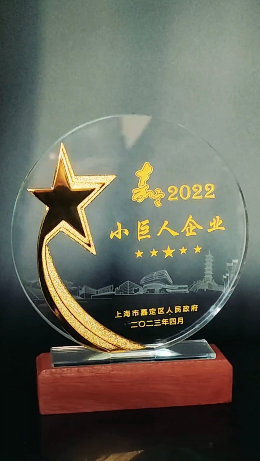 公司（sī）喜獲小巨人（rén）企（qǐ）業和創新發展先鋒企業稱（chēng）號